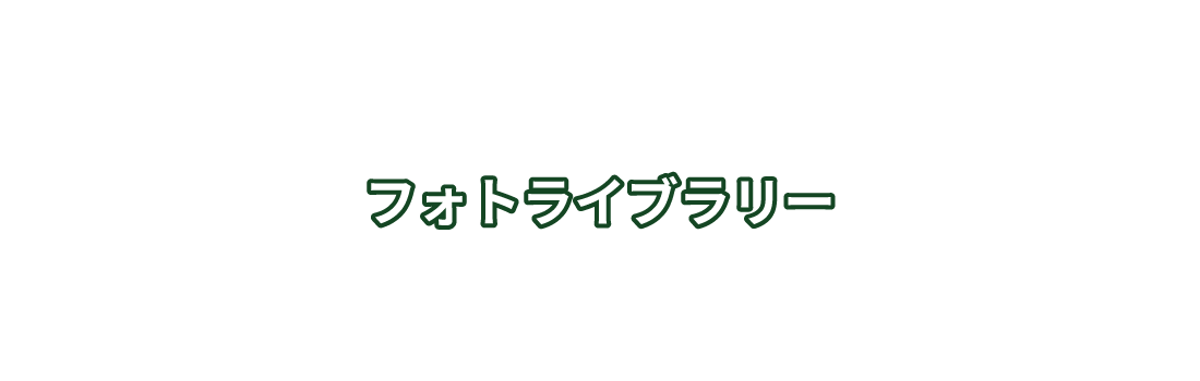 フォトライブラリー